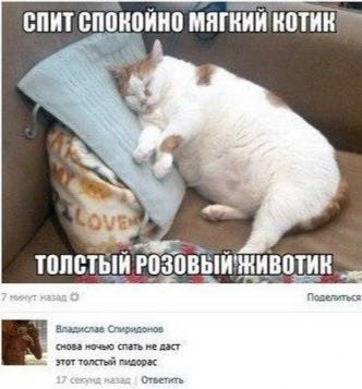 Картинки с просторов интернета