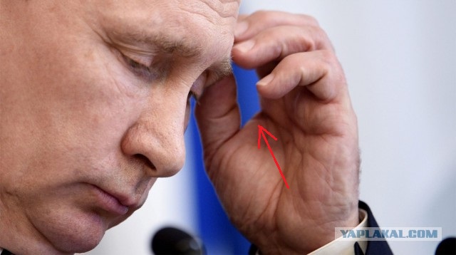 ЦИК: на избирательный счет Путина поступили уже 400 млн рублей