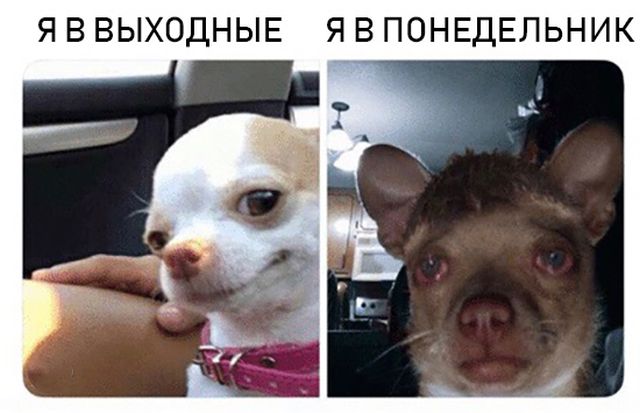 Нестандартный юмор