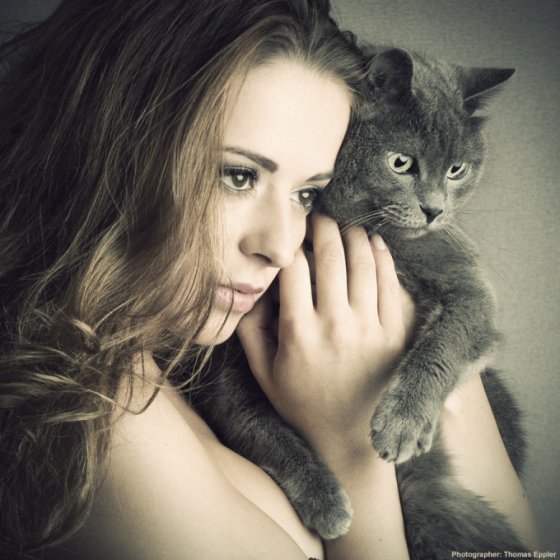 Первый котовторник июля