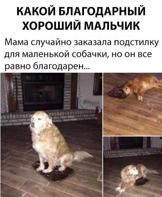 Немного картинок в это воскресенье