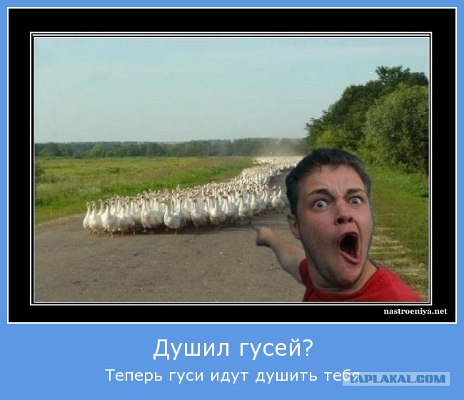 Хорошечно мем. Удушение гуся. Душить гуся мем. Душить гуся. Душить гуся.