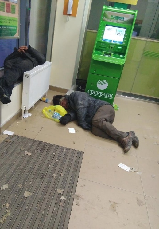 Скотсети и прочие интернеты 03.12.18