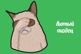 "Глазки печальные, ручки из ж*пы, гетры Адидас" (с)