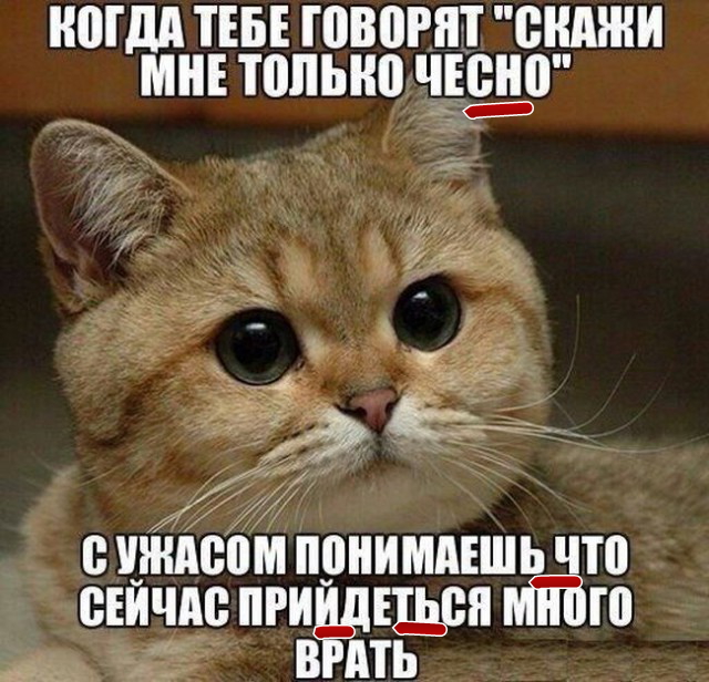 Применим физику в постели или белка и стрелка. Картинки