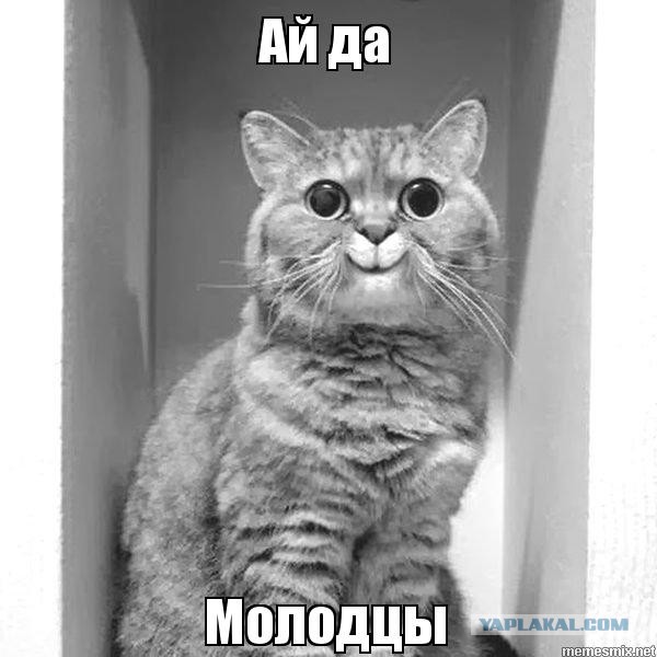 Блин, вот это неожиданный поворот сюжета