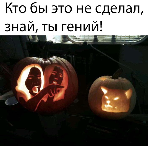 Чуток картинок 02.11.19