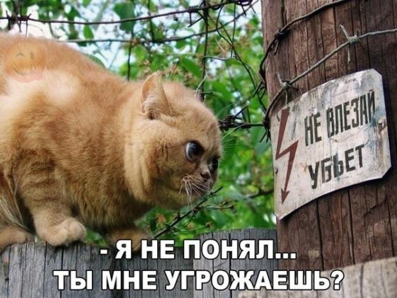 Картинки с буквами и без