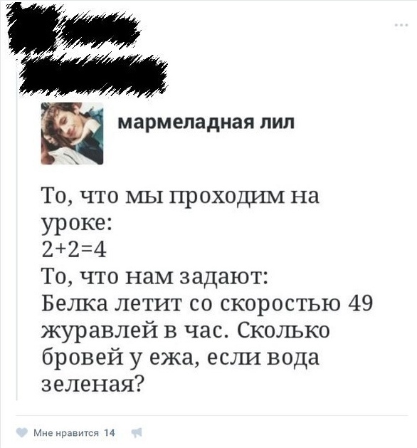 Свинегрет: картинки, надписи и прочее на 28.04 или №22