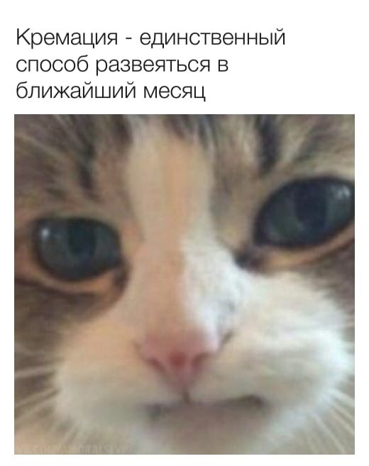 Немного картинок для настроения 28.05.20