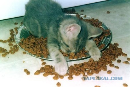 Народное творчество в картинках