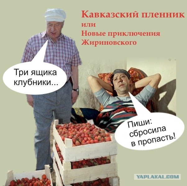 Как Жириновский на клубнике был