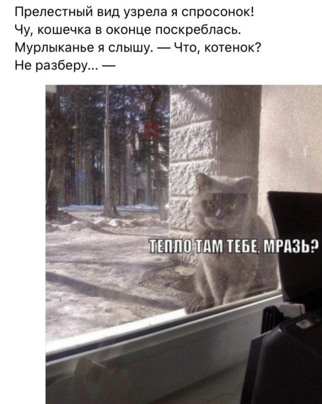 Фотки и картинки: юморные и красивые, забавные и милые 09.10.20