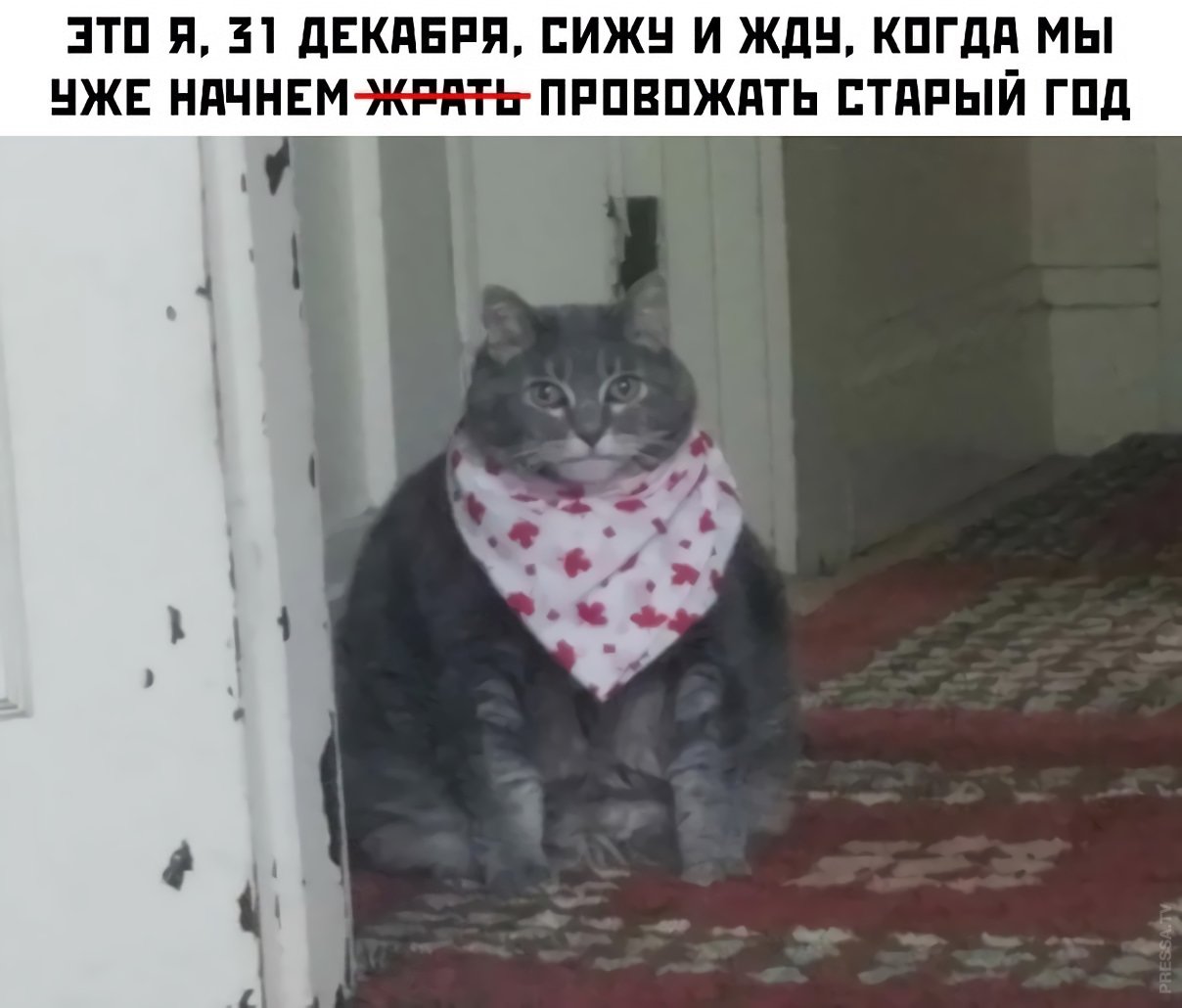 15079274.jpg