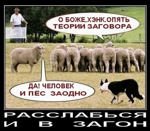 Пандемия. Коронавирус. Россия и мир. Последняя информация. Часть 20