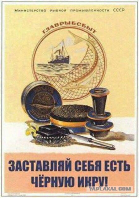 Прогуляемся в советский Гастроном? Что там можно было застать всегда