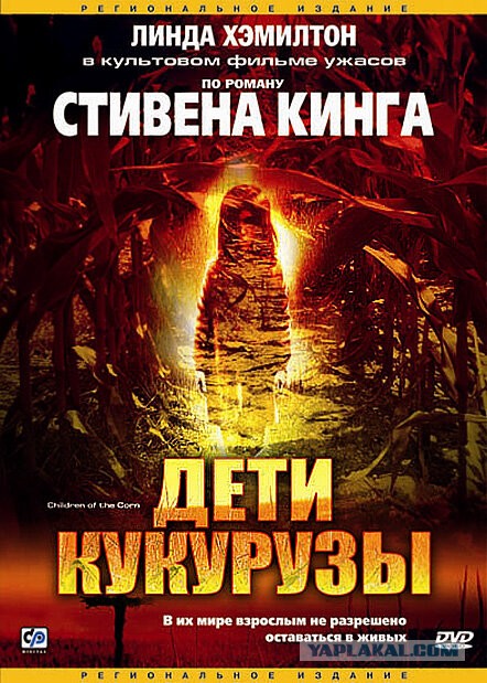 Дикой кукурузы в природе не существует. Как же она появилась у человека на полях