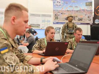 Украинский губернатор обвинил Россию в нашествии медуз в Азовском море