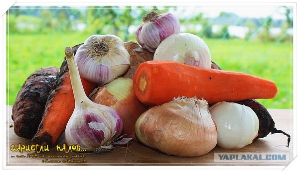 Пловские старания, ... эпическое полотно о Плове...