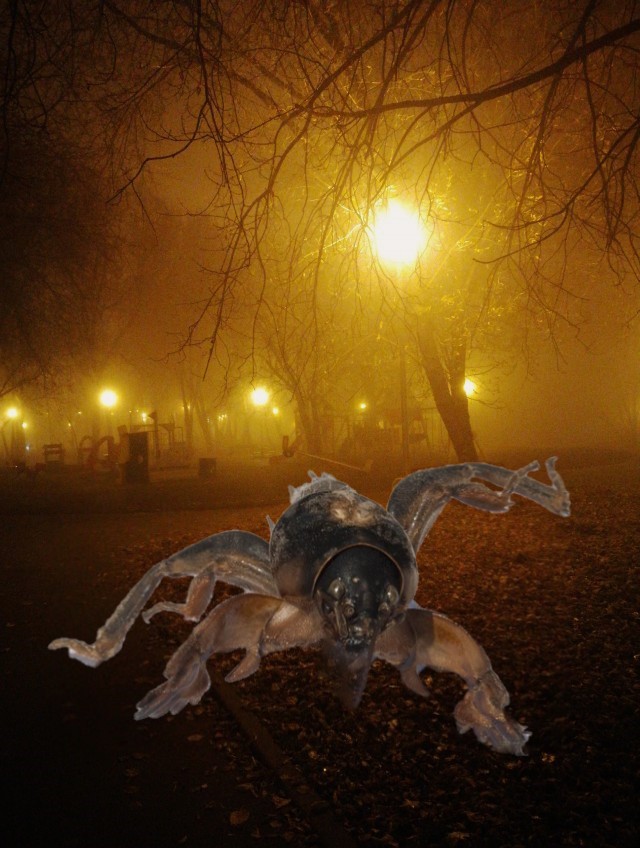 Туман в Москве