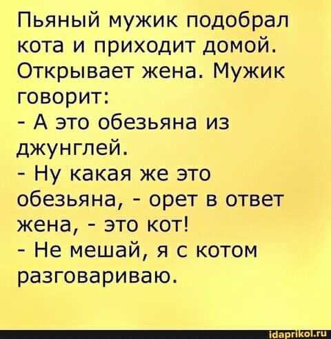 Алкопост 7.01.22
