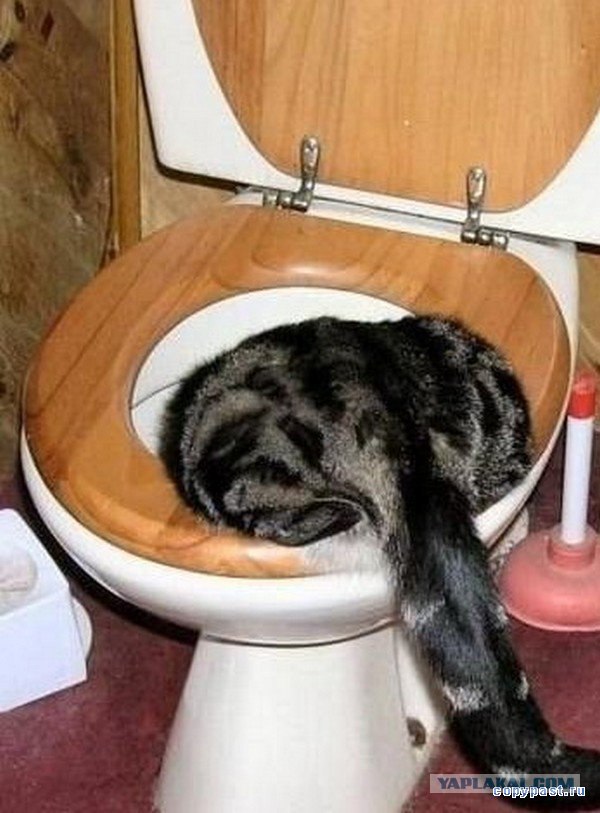 Проще нового завести