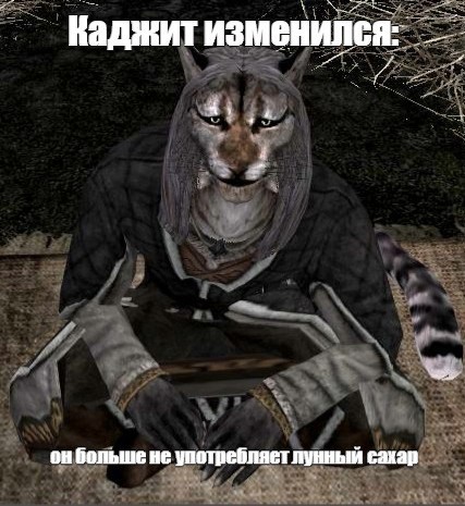 Коты и сахар