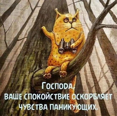 Пандемия. Коронавирус и съехавшие крыши. Россия и мир. Часть 32.