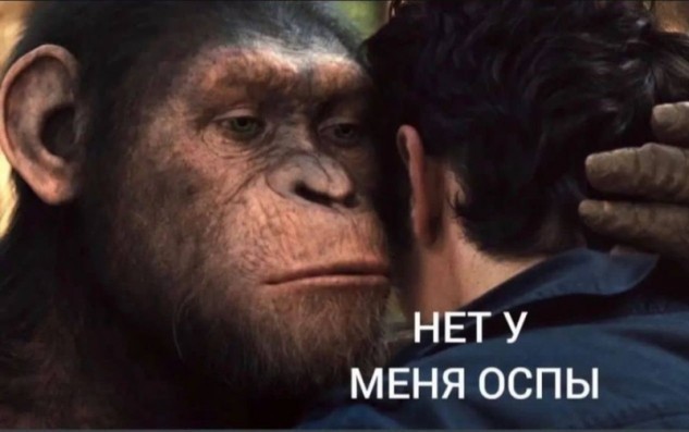Айболит