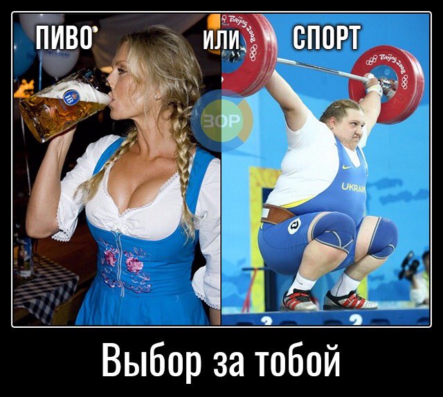 16905274.jpg