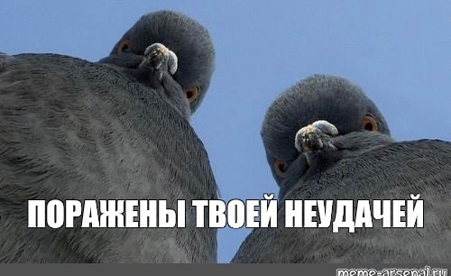 Преподаватель Высшей школы экономики получил самый важный урок в своей жизни. Он передал два миллиона рублей мошенникам