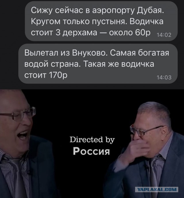 Весёлый полтишок 02.11.22