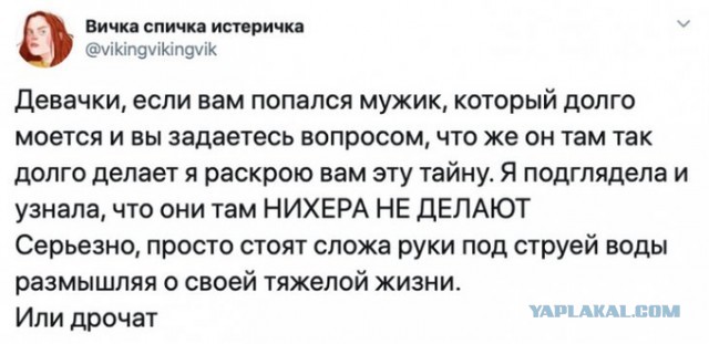 Так себе картинки 03.11.22