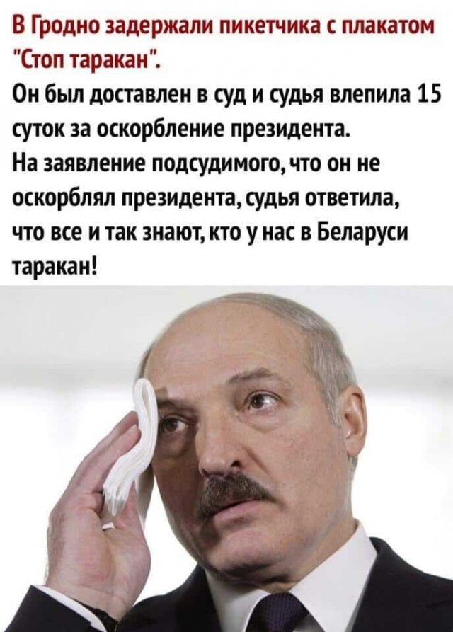 Народная меДИЧна 2012