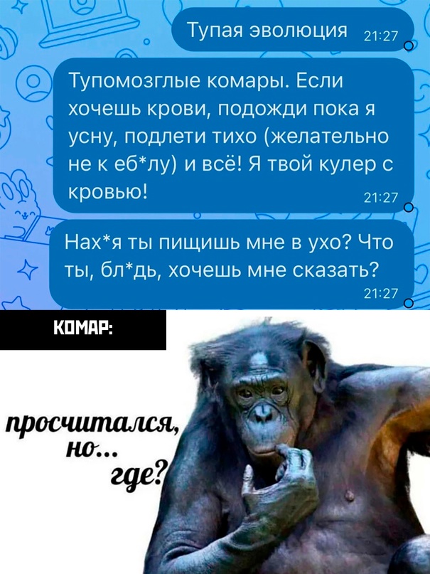 Весёлый полтишок 21.05.23