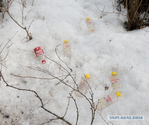 Все, что вы хотели знать об Эстонии...