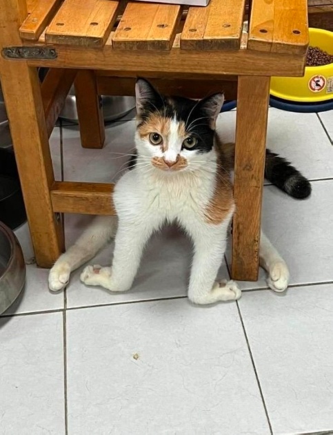 Так себе картинки 27.08.23