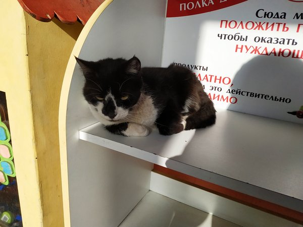 Прикольные и просто красивые картинки 27.10.2023
