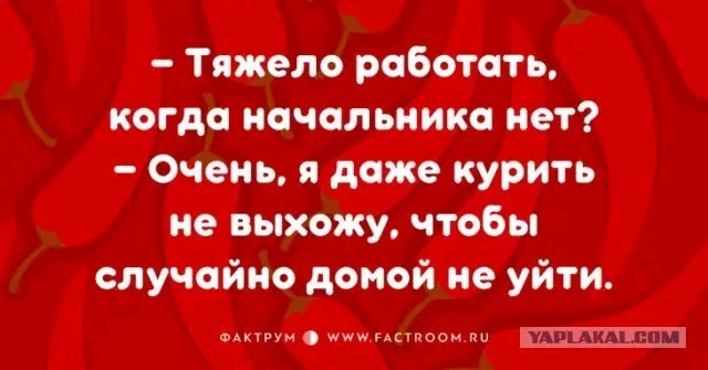 Бояны 7-ми летней выдержки