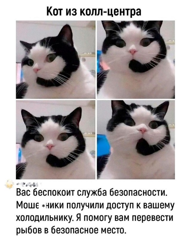 В Москве владелец доберманов набросился и стал душить женщину из-за замечания об отсутствии намордников