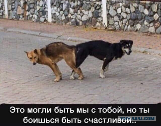 Отпусти, курва.