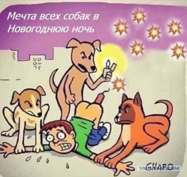 Отряд быстрого деградирования