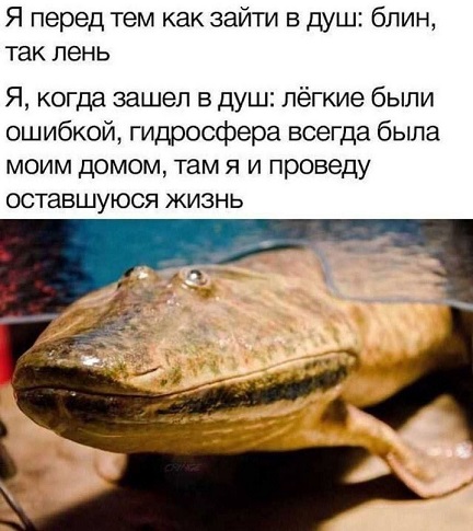 Осторожно, крышечка некрепко держится
