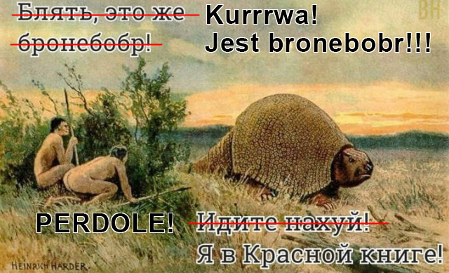 Всего понемногу. От 25.02.24