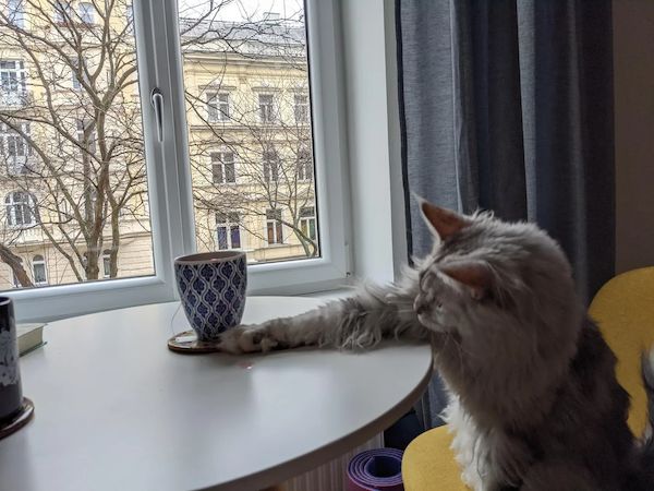 ФотоВинегрет