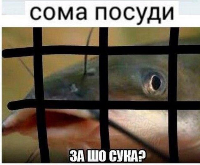 Хочу стать содержанкой
