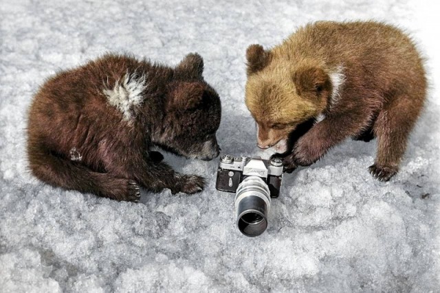 Интересные и редкие ретро-фотографии 17.06.24