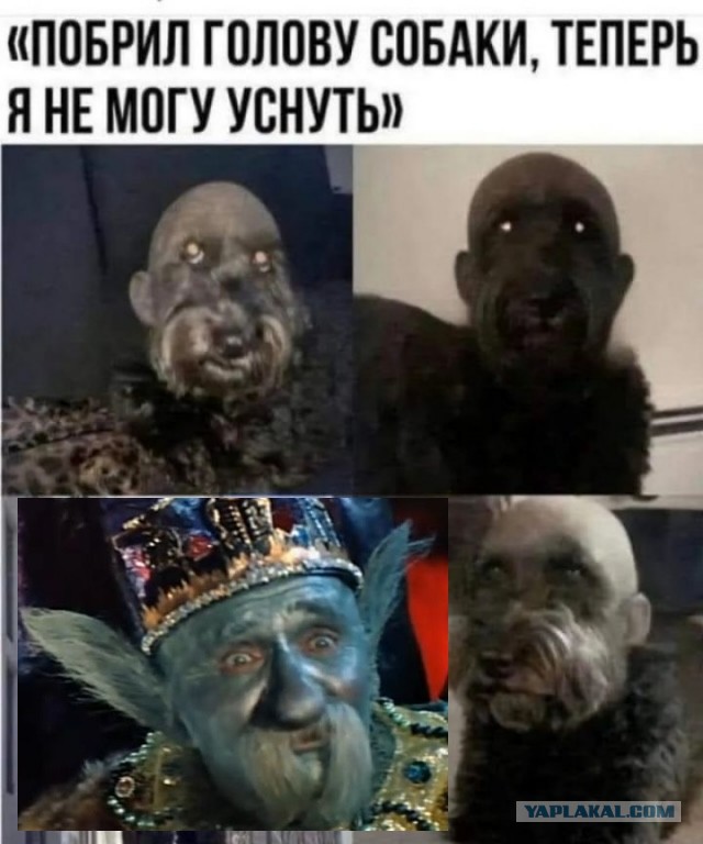 Завалялось тут случайно немного забавных картинок
