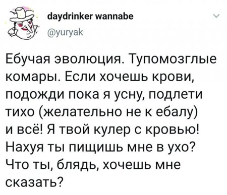19463274.jpg