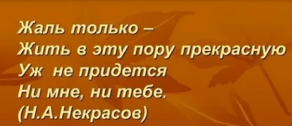 Доллар 80 руб